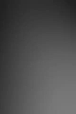 Signature Grey trimmer product loop